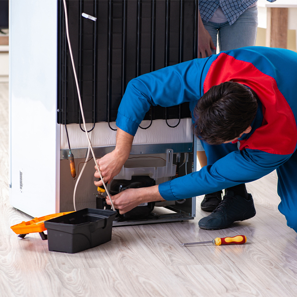 is it cost-effective to repair a refrigerator or replace it entirely in Etna New York